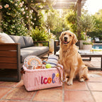 Custom Pet Toy Storage Basket