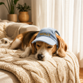 Personalized Puppy Cap